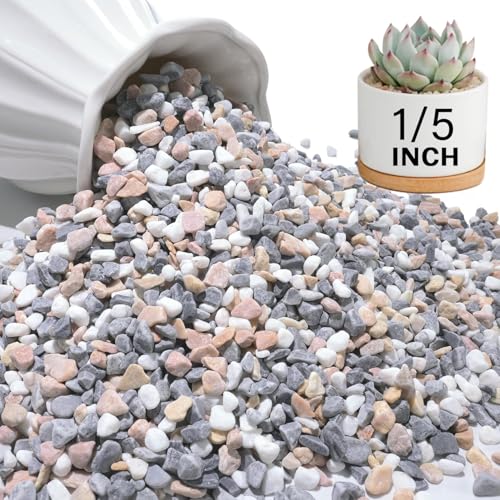 3 lbs Pebbles for Indoor Plants, 1/5 Inch Pea Gravel for Fish Tank, Decorative Rocks for Succulent, Natural River Stones for Vases, Cactus, Landscaping, Bird Bath, Aquarium, Mixed