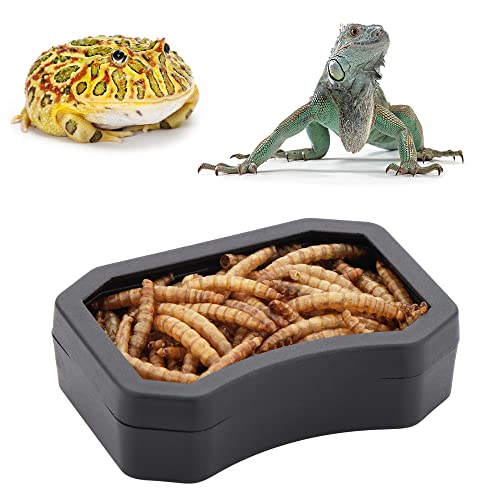 10 Pack Reptile Water Food Bowl, Plastic Terrarium Worm Dish Anti- Escape Feeder for Small Reptile Gecko Lizard Turtle (Black and White)
