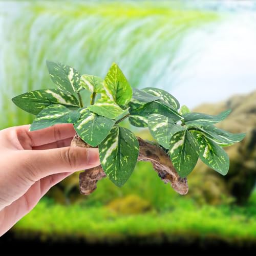 9 Pcs Fish Tank Decor，Silk Aquarium Plants Green Silk Leaf pad Hammock Artifical Driftwood cave Betta Fish Tank Accessories 6 x 3 x 4 inches(LxWxH) - size: 9 Pcs Silk Aquarium Plants（Style B）