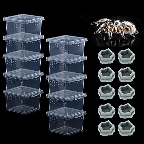10 Pack Small Size Spider Terrariums Breeding Box Hatching Container Insect Scorpion Centipede Acrylic Breeding Box (with 10 Pcs Micro Water Bowl
