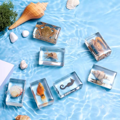 12 Pcs Real Ocean Animal & Insect Specimens in Resin - Educational Science Display Collection with 12 Unique Styles - Perfect for School Projects, Bug Collectors & Home Decor