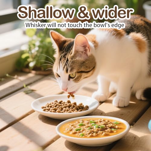 Cat Food Bowl Set of 6, Ceramic Cat Bowls, Anti Whisker Fatigue Cats Bowl Set,5.9 Inches Shallow Wide Kitten Plates for Wet/Dry Food, Indoor Pets (Fish Bone)