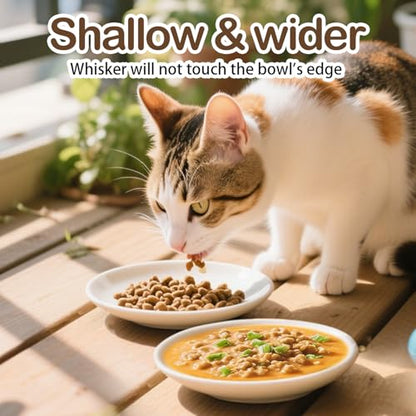 Cat Food Bowl Set of 6, Ceramic Cat Bowls, Anti Whisker Fatigue Cats Bowl Set,5.9 Inches Shallow Wide Kitten Plates for Wet/Dry Food, Indoor Pets (Fish Bone)