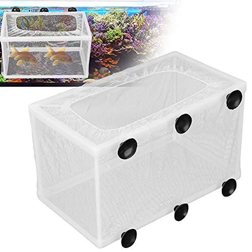 Aquarium Breeder Box with Suction Cups | Detachable Fish Hatchery & Isolation Enclosure | Multi - Functional Incubator for Fry/Unwell Fish/Shrimp | Secure Plastic & Mesh Design
