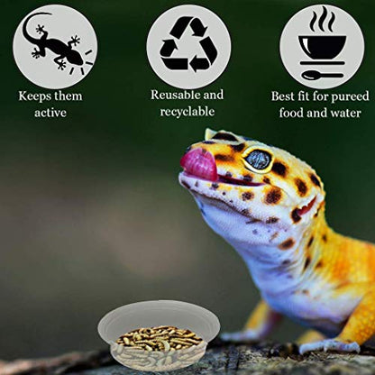 SunGrow Reusable Gecko Food & Water Cups, 100 Pcs, 1 oz. Recyclable Plastic Bowls, Fits Small Stands & Feeders, Durable & Easy to Clean, Ideal for Reptiles - in Resealable Bag
