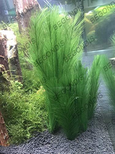 Aquarium Decorations 3Pcs Fish Tank Artificial Green Water Plants Made of Silk Fabrics Plastic