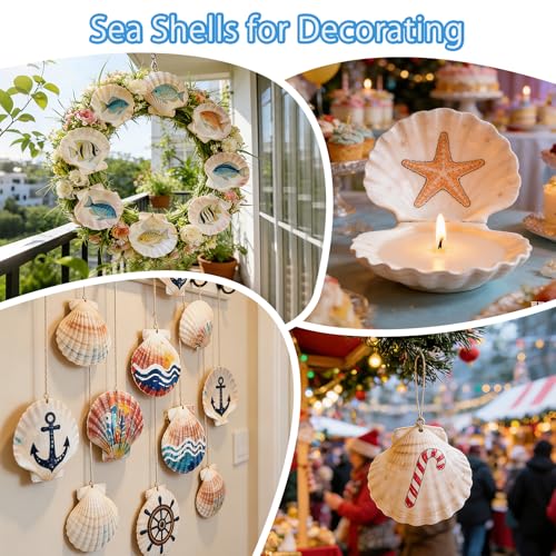 40pcs 4-5 Inch Large Scallop Shells for Crafts,Natural White Sea Shells for Hand Painting, DIY Home Decor, Family Crafting Projects, Decoupage & Gift Ideas