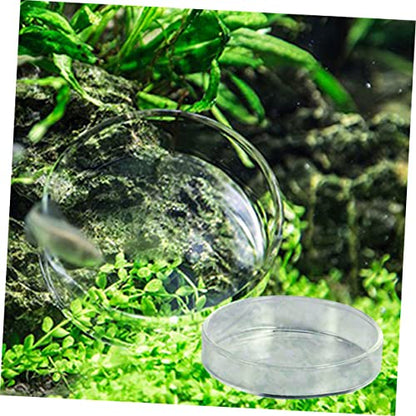 Toddmomy 1pc Transparent Glass Shrimp Feeding Dish Aquarium Feeder Bowl for Fish and Reptiles Floating Design for Shrimp and Fish Food