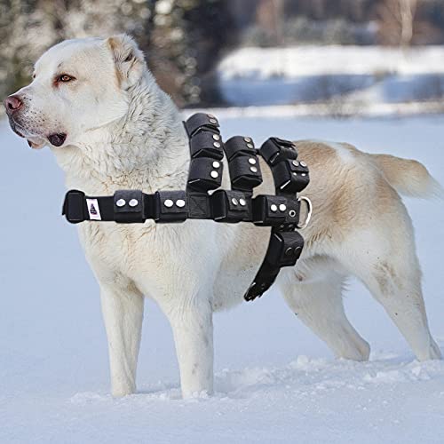 Weighted Tactical Dog Vest, No Pull Harness Symmetric Weight Pockets for Muscle & Weight Loss, Fit Pitbull GSD Husky, Heavy Nylon Service Harness Black - size: Dog's Waist 23.5"-28.5" | VEST ONLY