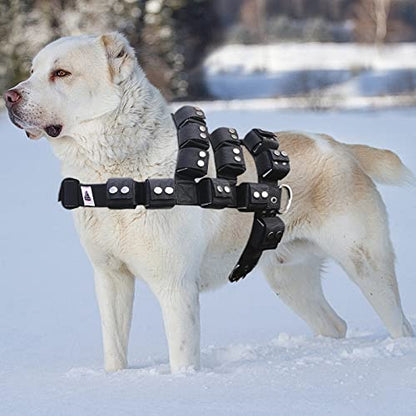 Weighted Tactical Dog Vest, No Pull Harness Symmetric Weight Pockets for Muscle & Weight Loss, Fit Pitbull GSD Husky, Heavy Nylon Service Harness Black - size: Dog's Waist 23.5"-28.5" | VEST ONLY