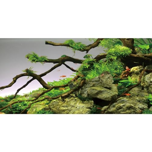 AWERT 48x20 inches Branches Aquarium Background Stone River Bed & Lake Fish Tank Background Green Algae Aquarium Background Vinyl Background - size: 48x20in/120x50cm