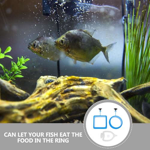 3pcs Aquarium Fish Feeding Rings Set Floating Plastic Fish Feeder Circles for Small Tanks Anti-Diffusion Blue Aquarium Accessories for Tank Feeding
