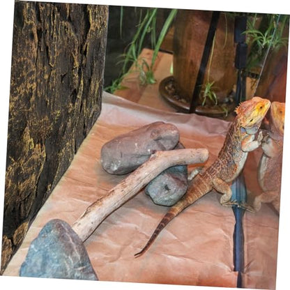 3D Reptile Tank Background Board Aquarium Tank Decoration for Bearded Dragon Decorative Sheet