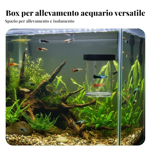 predolo Guppy Breeding Container High-Visibility Buoyant Breeder Box Double Mesh Design Buoyant Breeding Box, Black, M - color: Black, size: M