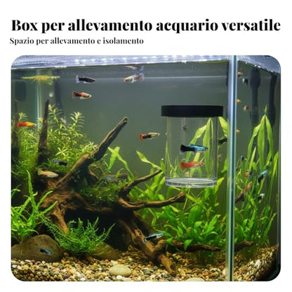 predolo Guppy Breeding Container High-Visibility Buoyant Breeder Box Double Mesh Design Buoyant Breeding Box, White, M - color: White, size: M