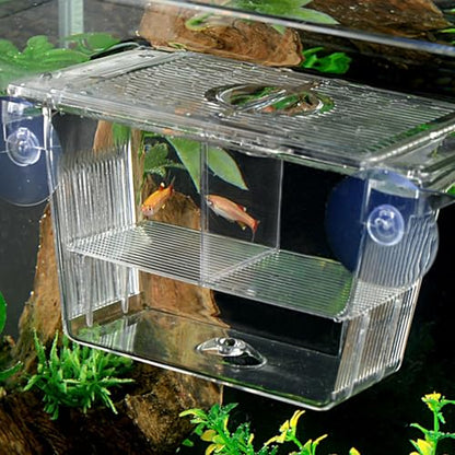 Breeder Box for Fish Tank Multi Compartment Fish Isolation Box for Aquarium with Suction Cup & Feeding Port Transparent ABS Fish Breeding Box for Baby Fish, Shrimps, Fish Isolation Box