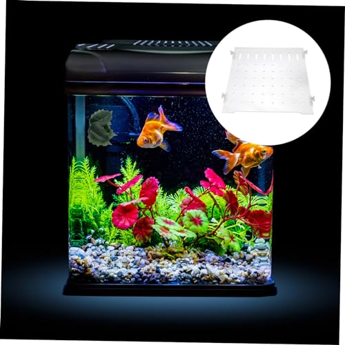 ORFOFE 1set Fish Tank Segregation Board Easy Install Isolation Plate for Mixed Breeding Fixed Clips Increases Fish Survival Rate by Separating Aggressive Species