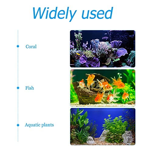 BESPORTBLE 1pc Multi-Function Fish Tank Feeding Clamp Easy Install Food Fixing Holder for Aquarium Inlet Outlet Acrylic Design for Pet Fish
