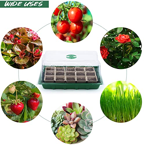 4 Pack Seed Starter Tray Set Plants Growing Trays Peat Pots for Seedlings with Seed Starter Pots, Plastic Germination Tray, Plant Labels, Tool for Flower Vegetable Planting, Green