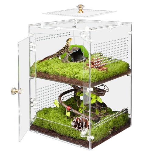 Large Jumping Spider Enclosure, 2 in 1 Ventilated Reptile Terrarium for Praying Mantis,Arboreal Tarantula,Crested Gecko, 12"*8"*8" Acrylic Habitat with Removable Divider,Front Opening & Top Lid - size: Large-12''x8''x8''