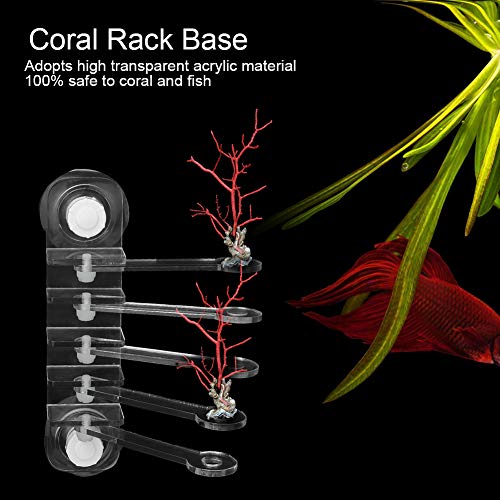 Acrylic Transparent Five Claw Life Tree Frag Rack Base, SPS Holder with 5 - Hole Design, 180 - Degree Adjustable Arms and Strong Suction Cup for Reef Aquarium