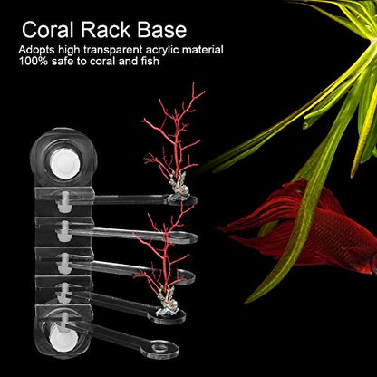 Acrylic Transparent Five Claw Life Tree Frag Rack Base, SPS Holder with 5 - Hole Design, 180 - Degree Adjustable Arms and Strong Suction Cup for Reef Aquarium