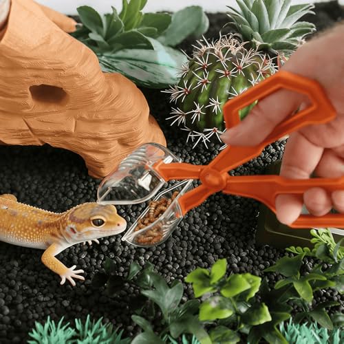 7-Pack Reptile Feeding Tools Set - 4 Feeding Tongs/Worm Tongs/Worm Scoop/Cleaning Shovels, 2 Tweezers & 1 Feeding Spoon, for Reptiles, Hedgehogs, Lizards, Spiders, Bearded Dragons