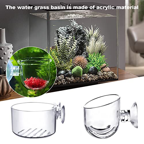 MDEOOSKY 16 Pack Aquatic Plant Cups, Acrylic Aquarium Plant Cup, Transparent Acrylic Aquatic Pot with Suction, Acrylic Aquarium Suction Cup Holder, Aquarium Decoration 2 Shapes