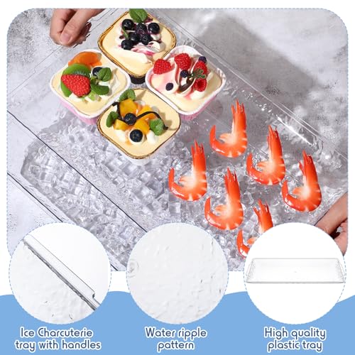 2 Set 16" x 9" Plastic Chilled Serving Tray for Parties with Compartments Ice Chilled Party Platter Charcuterie Serving Board Cold Dish Dip for Fruit Seafood Vegetable Appetizer (Clear) - color: Clear
