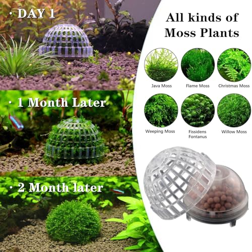 2 Pack Aquarium Moss Ball Holder Professional Plastic Moss Plant Holder with Hollow-Designed for Fish Tank Accessories (2)