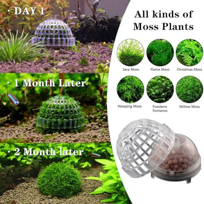 2 Pack Aquarium Moss Ball Holder Professional Plastic Moss Plant Holder with Hollow-Designed for Fish Tank Accessories (2)