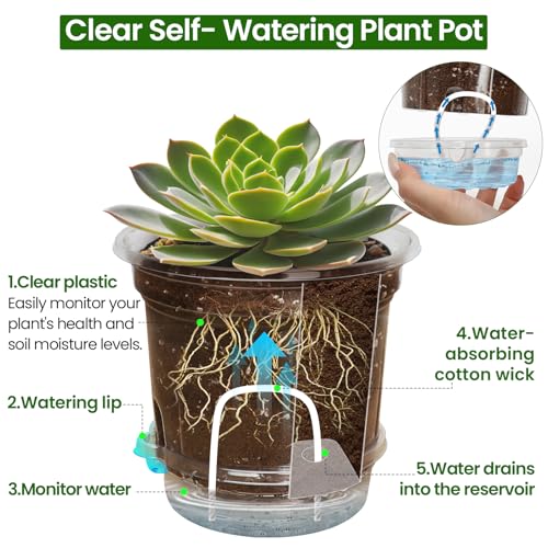 18 Pack 6.5/5/4 Inch Clear Self Watering Plant Pots with Bottom Water Tray & Watering Rope, Transparent Nursery Pots with Drainage for Seedlings, Herbs, and Houseplants