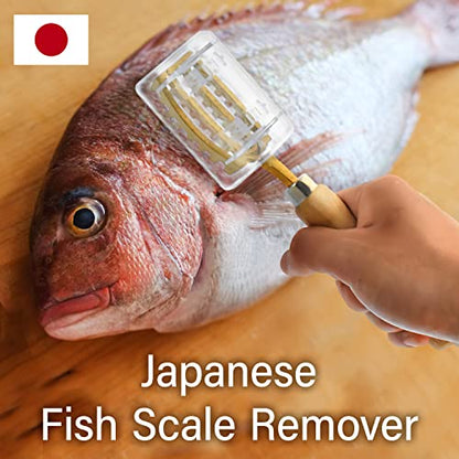 YAMASAN KYOTO UJI Fish Scale Remover with Box with Brass Serrated Sawtooth and Wooden Handles from Tsubame-Sanjo, Japan