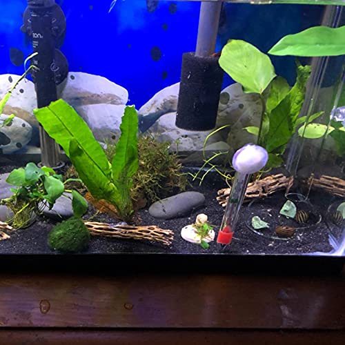 200MM Aquarium Shrimp Feeding Tube and Dish Tube Glass Fish Feeder Tube with Glass Bowl and Suction Cups for Fish Tank Aquarium Shrimp Fish Dish