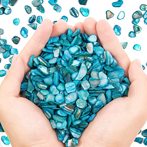 QICQDRAM Crushed Shells for Crafts About 1LB (405g/14.28oz) Small Natural Crushed Shells Bulk for Crafts DIY Beaching Wedding Decoration Vase Fillers (Light Blue)