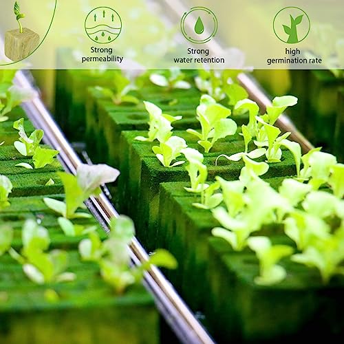 Halatool 1.5 Inch Rockwool Cubes Garden Stonewool Grow Cubes Starter Plugs for Hydroponics Soilless Cultivation Seedlings Cuttings Clone Plants Germination Start (4 Sheets, 196 Plugs in Total)