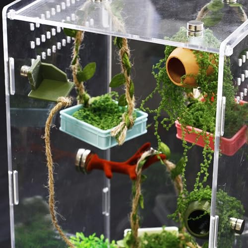Jumping Spider Enclosure Accessories Jumping Spider Hammock 3 Pcs Set with Artificial Moss and Hemp Rope Accents Habitat Decoration Habitat Decoration Set Climbing Toy for Small Pet