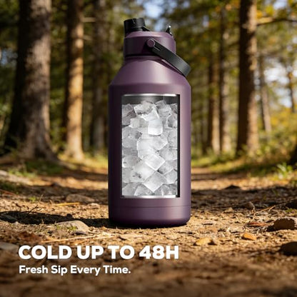 POWCAN 64 oz Insulated Water Bottle with 2-in-1 Straw & Spout Lid, Leakproof, Top Handle, Keep Cold 48H, BPA-Free, Brush, Metal Water Bottle with Carrier Bag for Work, Sports, Travel and Gym (Plum) - color: Plum