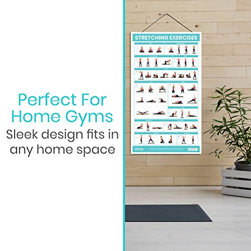 Vive Workout Posters for Home Gym - 52 Streching Exercises Full Body