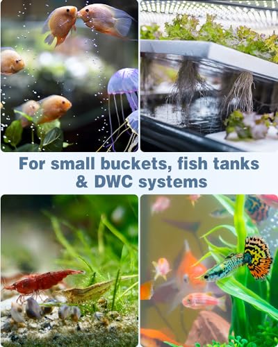 Pawfly Aquarium Air Stone 1 Inch Cylinder, Fish Tank Air Bubble Diffuser Airstone for Nano Air Pumps Small Buckets and Fish Tanks, 12 Pack