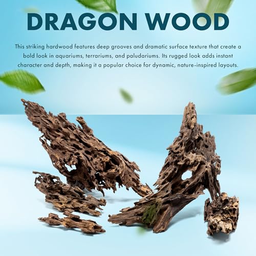 Natural Aquarium Driftwood for Fish Tanks, Terrarium, Reptile Habitats, Freshwater Aquatic Decor - Small to Large Pieces (Dragon Wood (Medium) 6-12", 1 Piece) - size: 1 Piece