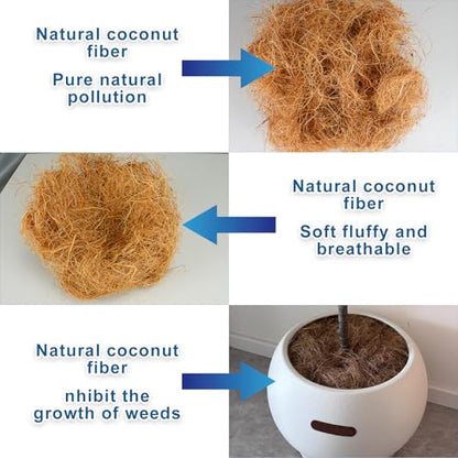 Long Coconut Husk Fiber Mulch Silk for Orchids Clean Coconut Shell Moss Covering 0.66 Pounds