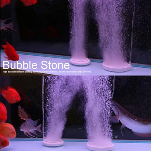 Aquarium Air Stone Plate Leak-Proof Design with Suction Cup Fine Bubble Diffuser for Fish Tank Oxygenation