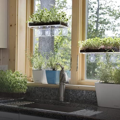 Window Garden Veg Ledge - Window Shelf for Plants, Clear Acrylic Shelves - Suction Cup Indoor Plant Holder - Glass Window Sill Extender for Microgreens Kit, Seed Starter Pots, Planters (1 Pack) - size: 1 Medium (Original)