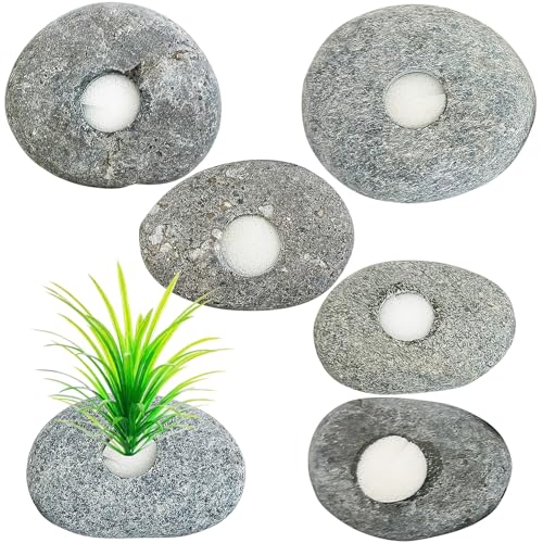 Drilled Pebble Aquatic Plant Anchors Water Plants Fixed Ring Natural River Stone Plant Weights for Fish Tank Aquarium Decorations Landscape Stones(Aperture: 0.8" 1hole 6pcs)
