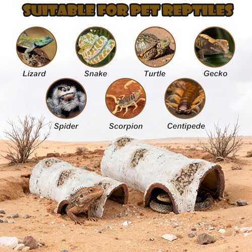 Natural Reptile Hide Basking Platform, Hideout Decor for Aquarium, Fish Tank, Bearded Dragon, Gecko, Shrimp, Betta (Birch Tree Hiding Cave, Small)