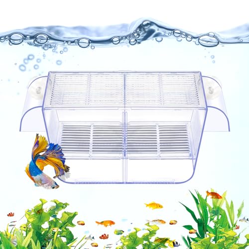 Fish Breeding Box Aquarium Holding Tank Transparent Fish Isolation Box Acclimation Hatchery Incubator Breeder for Betta Shrimp Clownfish Guppy(Size L)