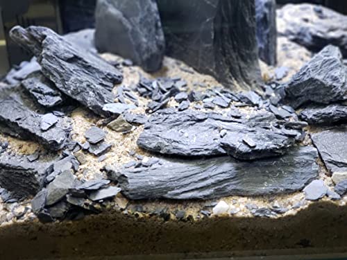 Natural Slate Stone 3 to 5 Inches - USA Sourced and Packaged for Aquascaping Aquariums, Terrariums, Paludariums, Reptiles, Wargaming, Model Railroads, Miniature Gardens, Mosaic Art (12lbs) - size: 12 Pounds