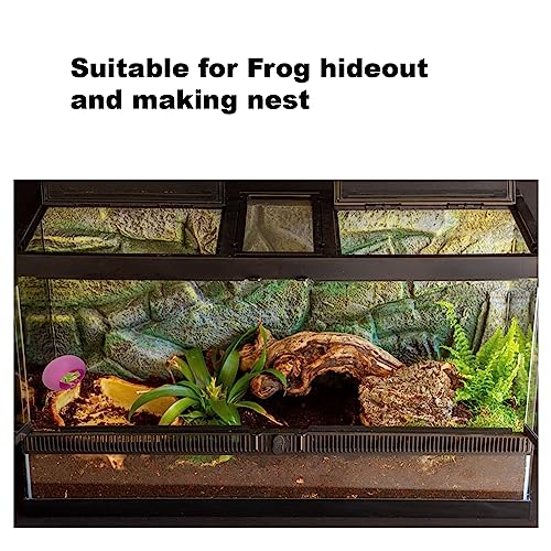 2Pcs Egg Shaped Frog Habitats with Suction Cups - Cute Frog Terrarium & Dish Holder, Ideal for Tree Frogs, Toads & Tadpoles