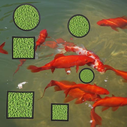 Fish Feeding Ring, Floating Plant Corral, Aquarium Floating Plant Ring, Floating Ring Aquarium Feeding Ring, Fish Tank Plant Corral Set for Aquarium Accessories, 6pcs, Black